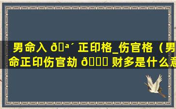 男命入 🪴 正印格_伤官格（男命正印伤官劫 🐝 财多是什么意思）